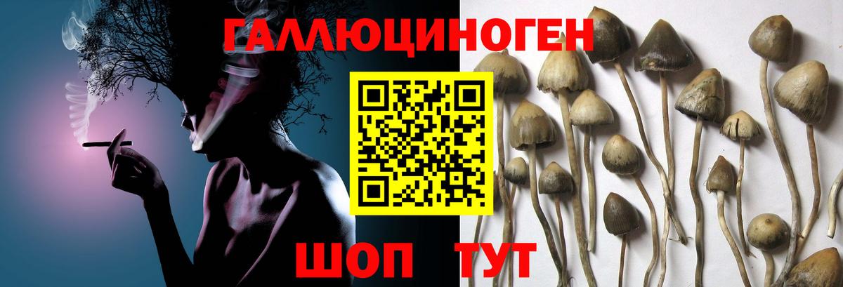 Псилоцибиновые грибы Psilocybine cubensis  Вход с VPN  Кинешма 